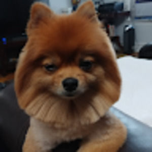 Meet your Posher, Vincent